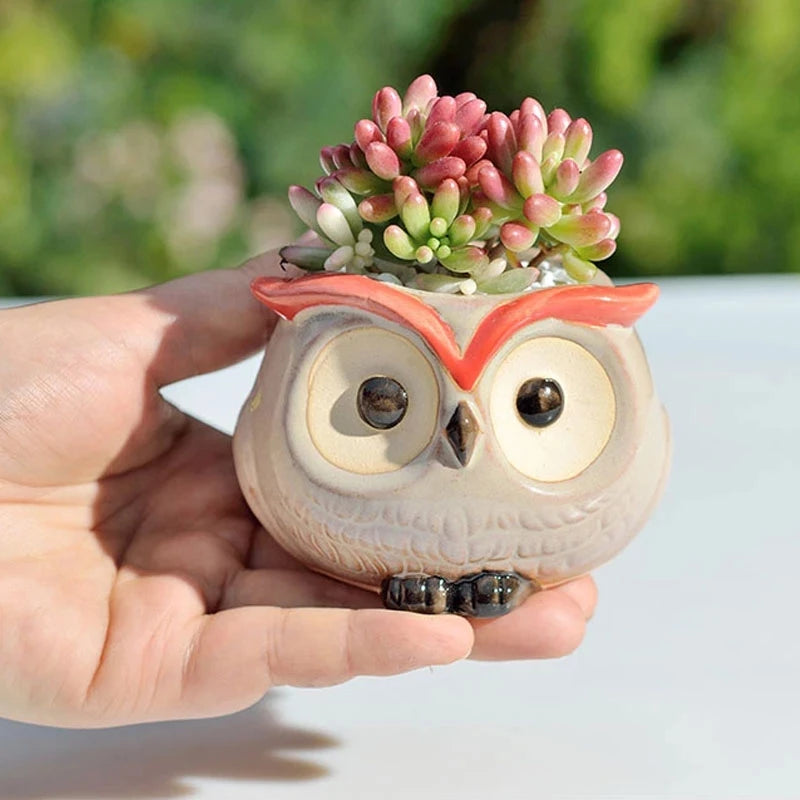 Owl Bloom Planters