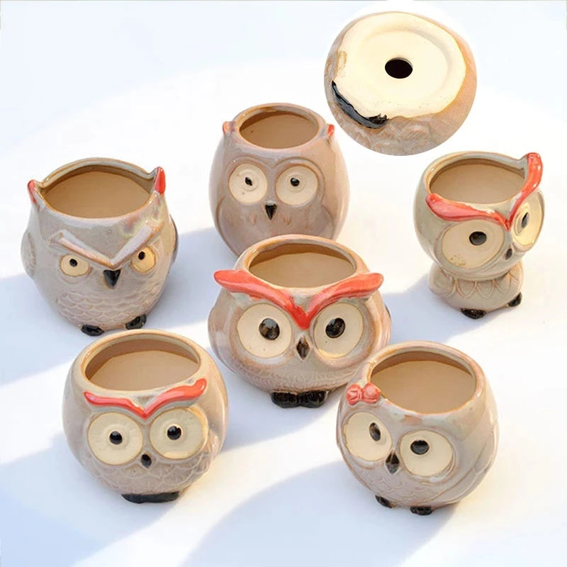 Owl Bloom Planters