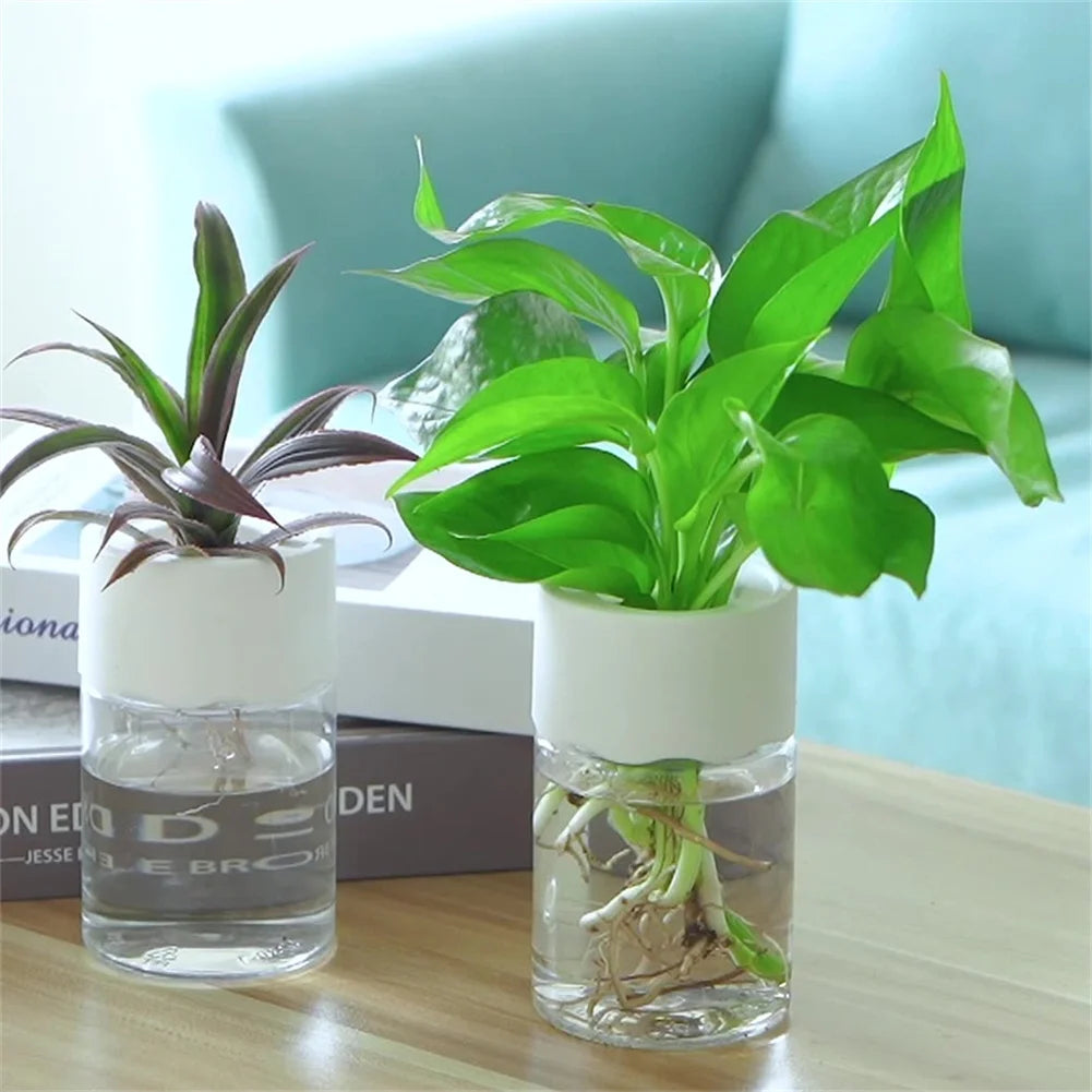 ClearRoot Hydro Planters