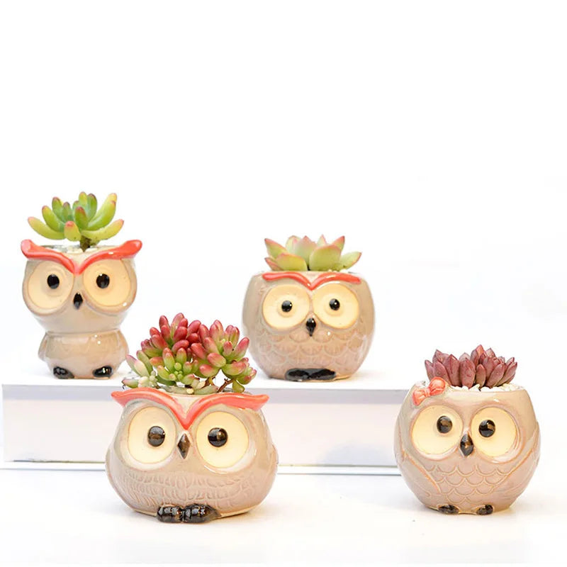 Owl Bloom Planters