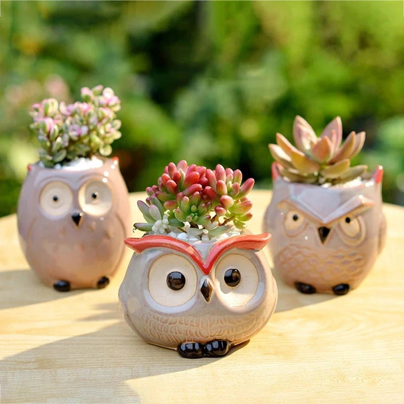 Owl Bloom Planters